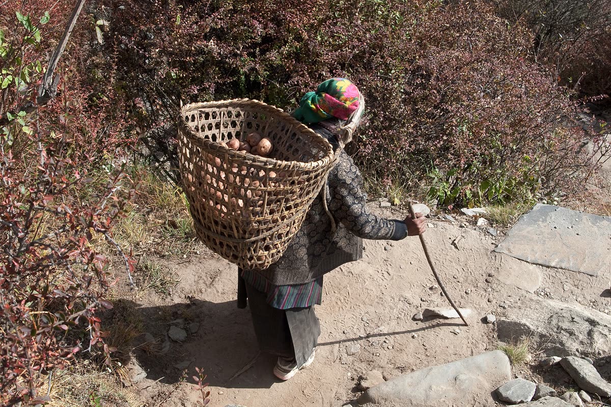 A woman carrying a traditional doko basket on a Khumbu trail
